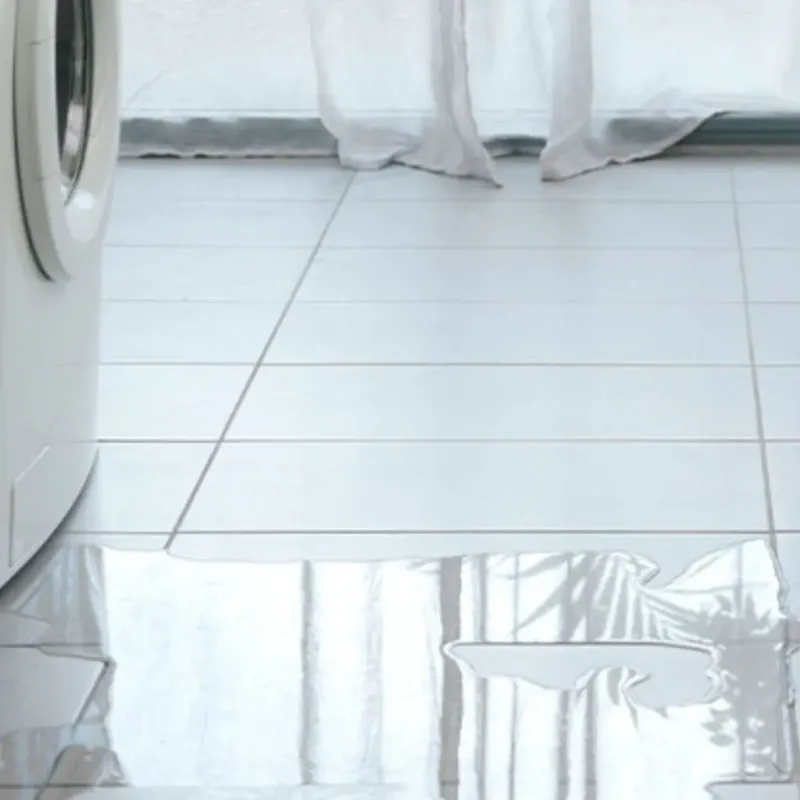 Appliance Leak Cleanup in Sandalfoot Cove, FL